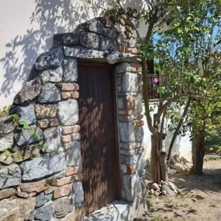 Apartmán βασιλικός Studio έως 2 άτομα Paliouri